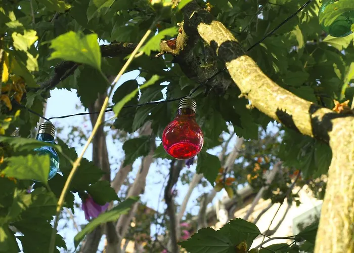 Merli's Nest Frühstückspension Ferrara